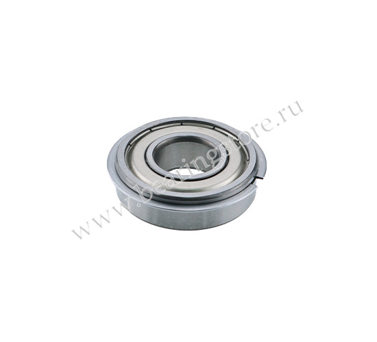 6007 ZZNR подшипник NSK