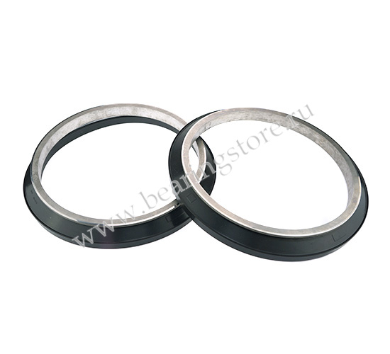 108710 HDDF1 R Уплотнение SKF