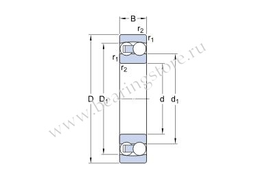 1318 подшипник SKF