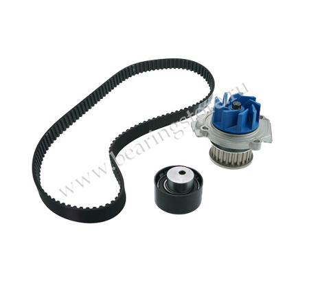 VKMC 02204-3 комплект ремня ГРМ SKF