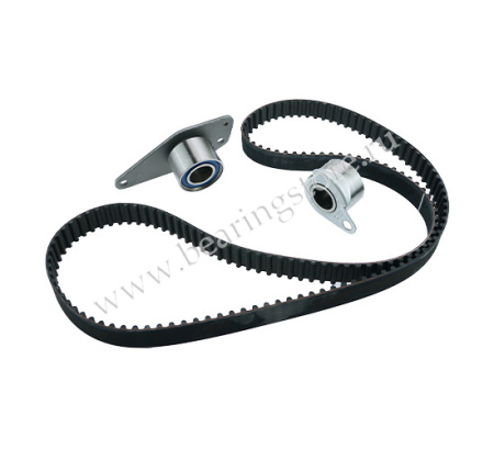 VKMA 06111 комплект ремня с роликом SKF